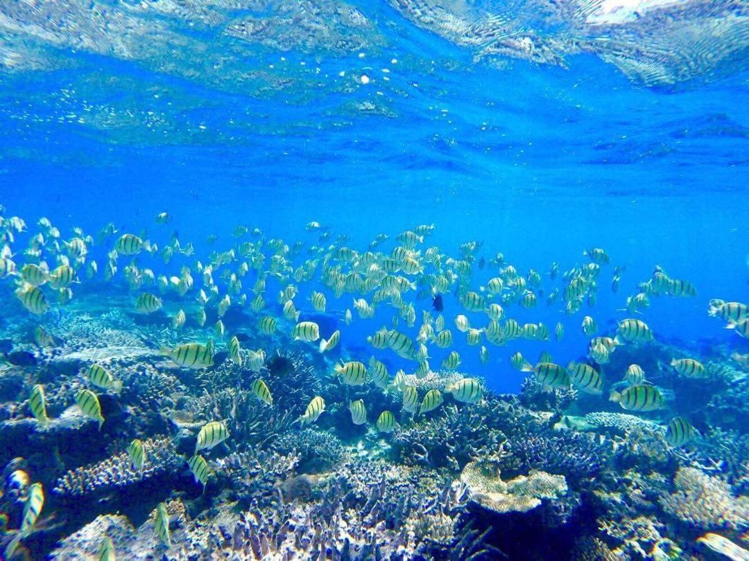 Korovou Eco Lodge Naviti Island Экстерьер фото